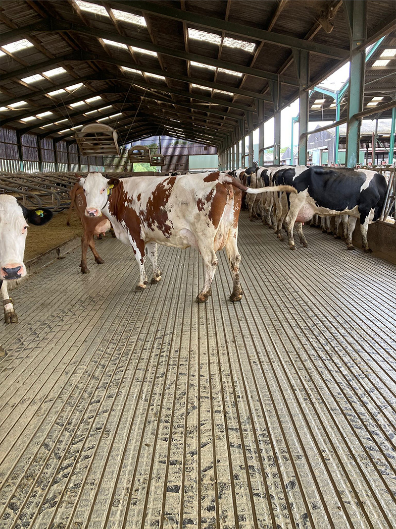  high-quality diamond concrete grooving services